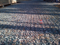 Kratka trawnikowa / kratka drogowa 5cm/ Stella Green