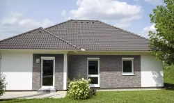 Płytka elewacyjna Piano PP 38x2,5x8 kolor alaska / Joniec