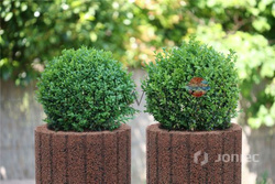 Gazon betonowy Moonflor DMP 30x25x20 kolor szary / Joniec