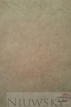 Geowłóknina Poliester PES 200g/m2 1m x50m