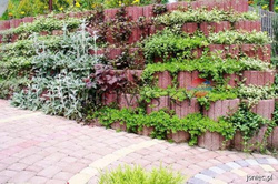 Gazon betonowy Moonflor DM 40x30x25 kolor czerwony / Joniec