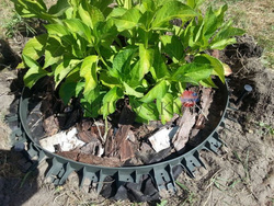 Agrowłóknina 50g czarna 1,6m x 100m