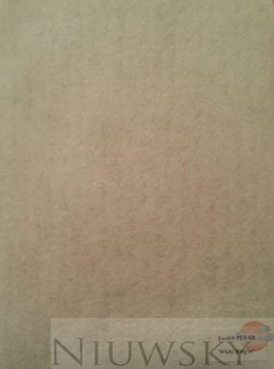 Geowłóknina Poliester PES 300g/m2 2x50m